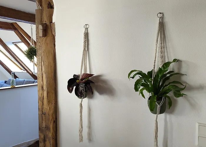 Appartement - Alte Muehle Extertal